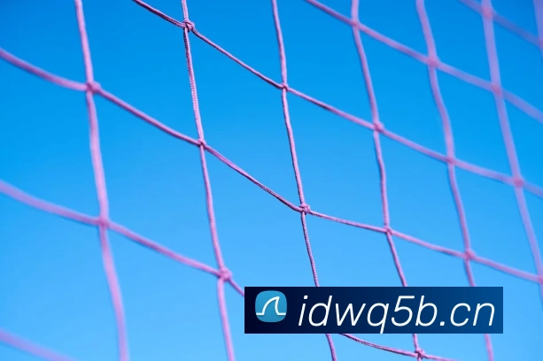 星空app官方登录入口品牌故事